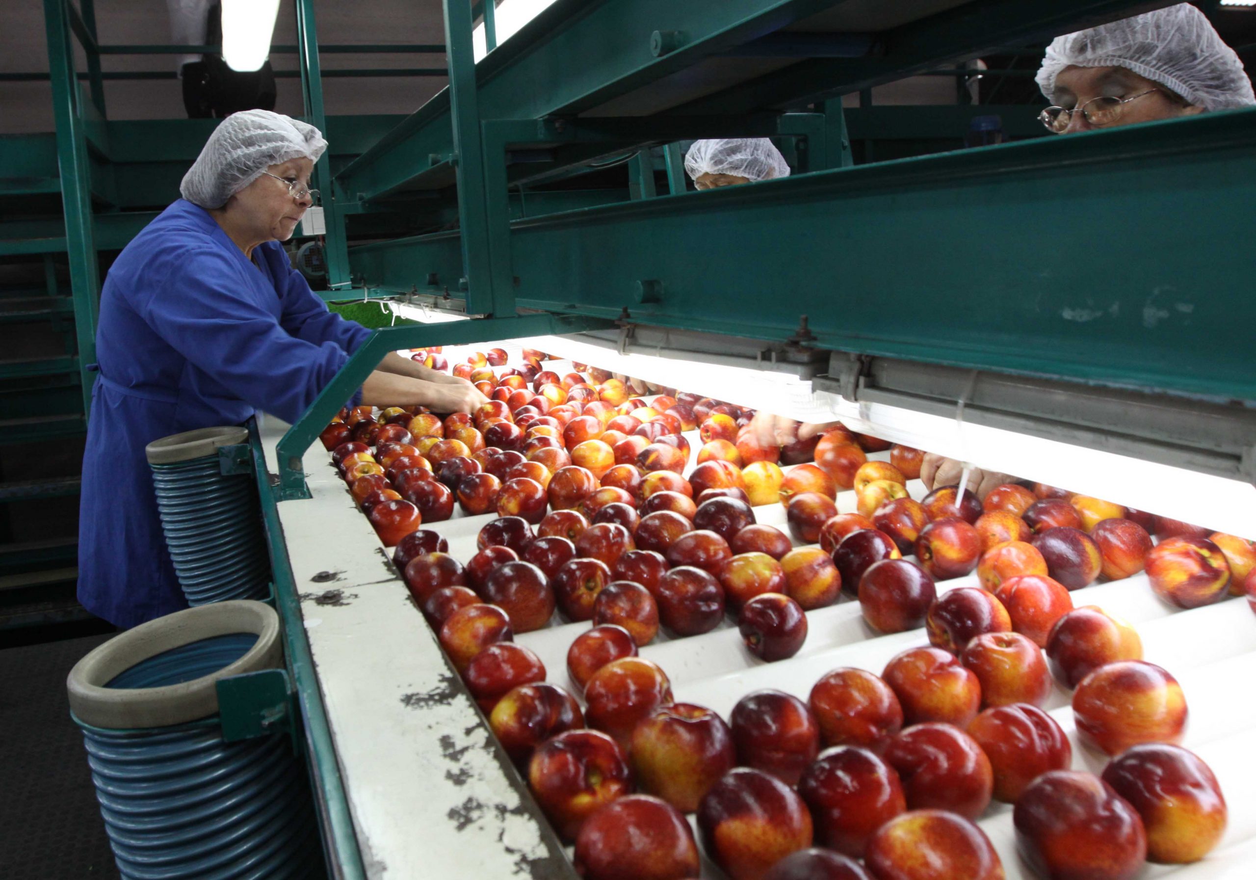 Industria manufacturera impulsa creación de empleo en Ñuble: aumentó 27,1%