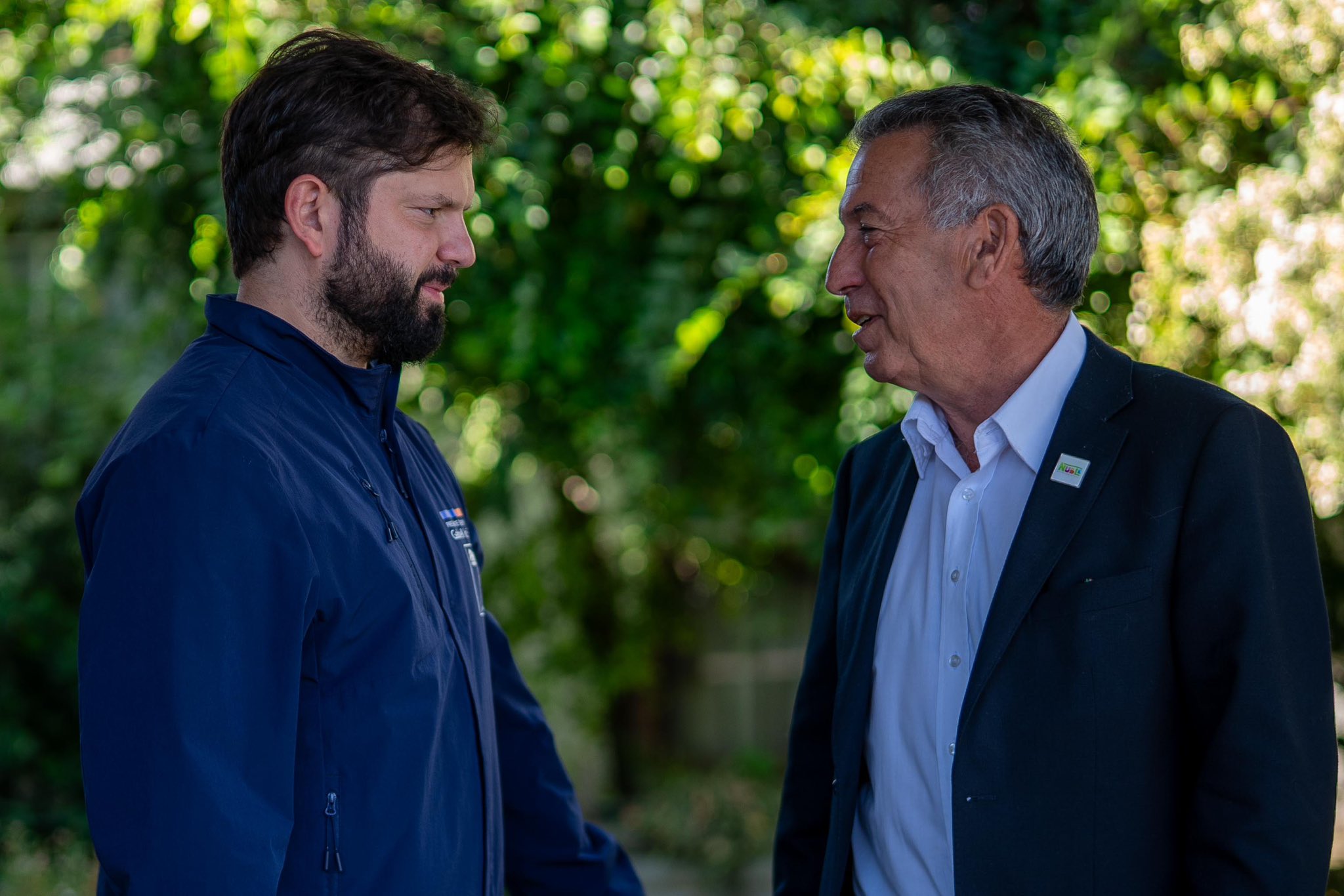 Polémica por omisión de Ñuble: delegado defiende que “no es necesario mencionar cada región”
