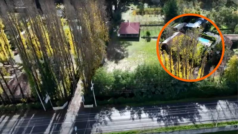El chileno más peligroso del mundo tiene un complejo turístico en Chillán