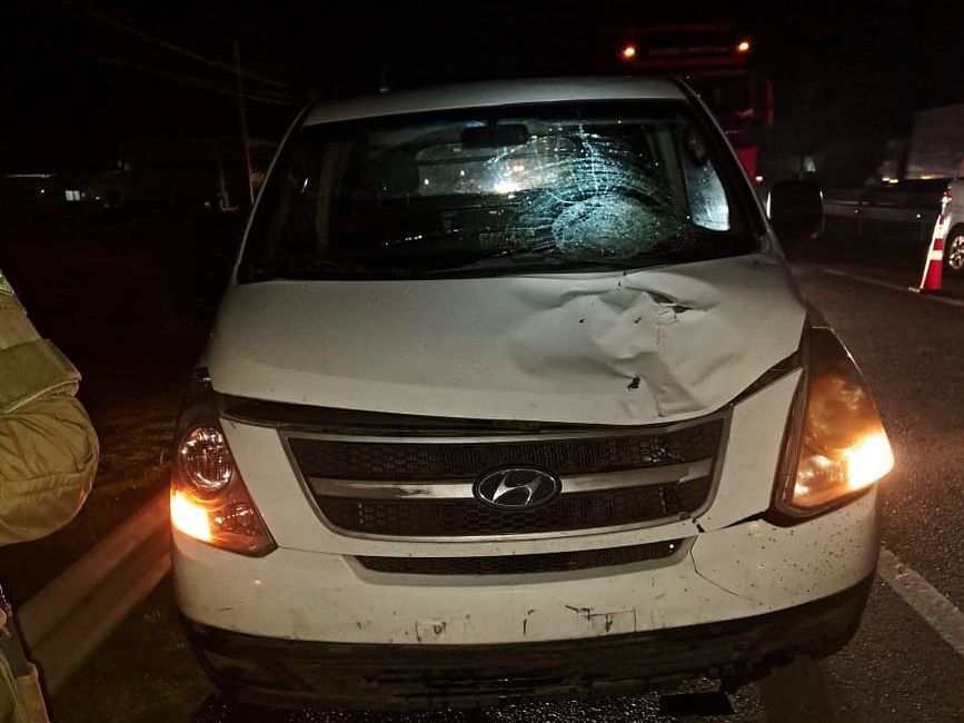 Identifican a hombre que murió atropellado en Chillán Viejo