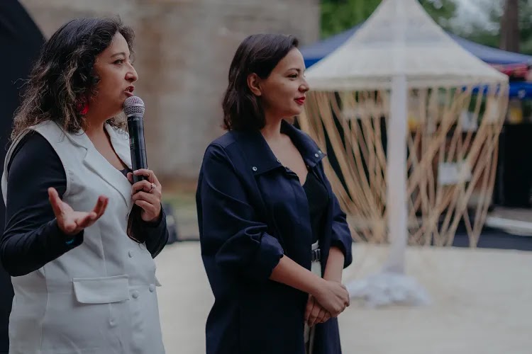 Renuncia seremi de las Culturas de Ñuble para postular a diputada