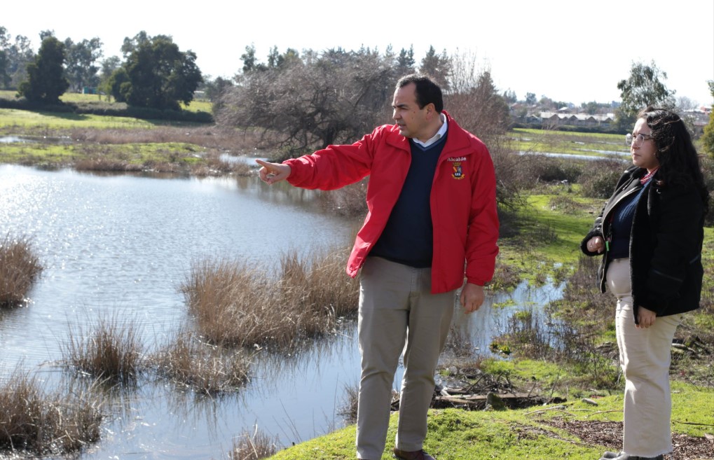 Alcalde de Chillán Viejo enfrenta a constructora por intento de anular protección del único humedal urbano de la comuna
