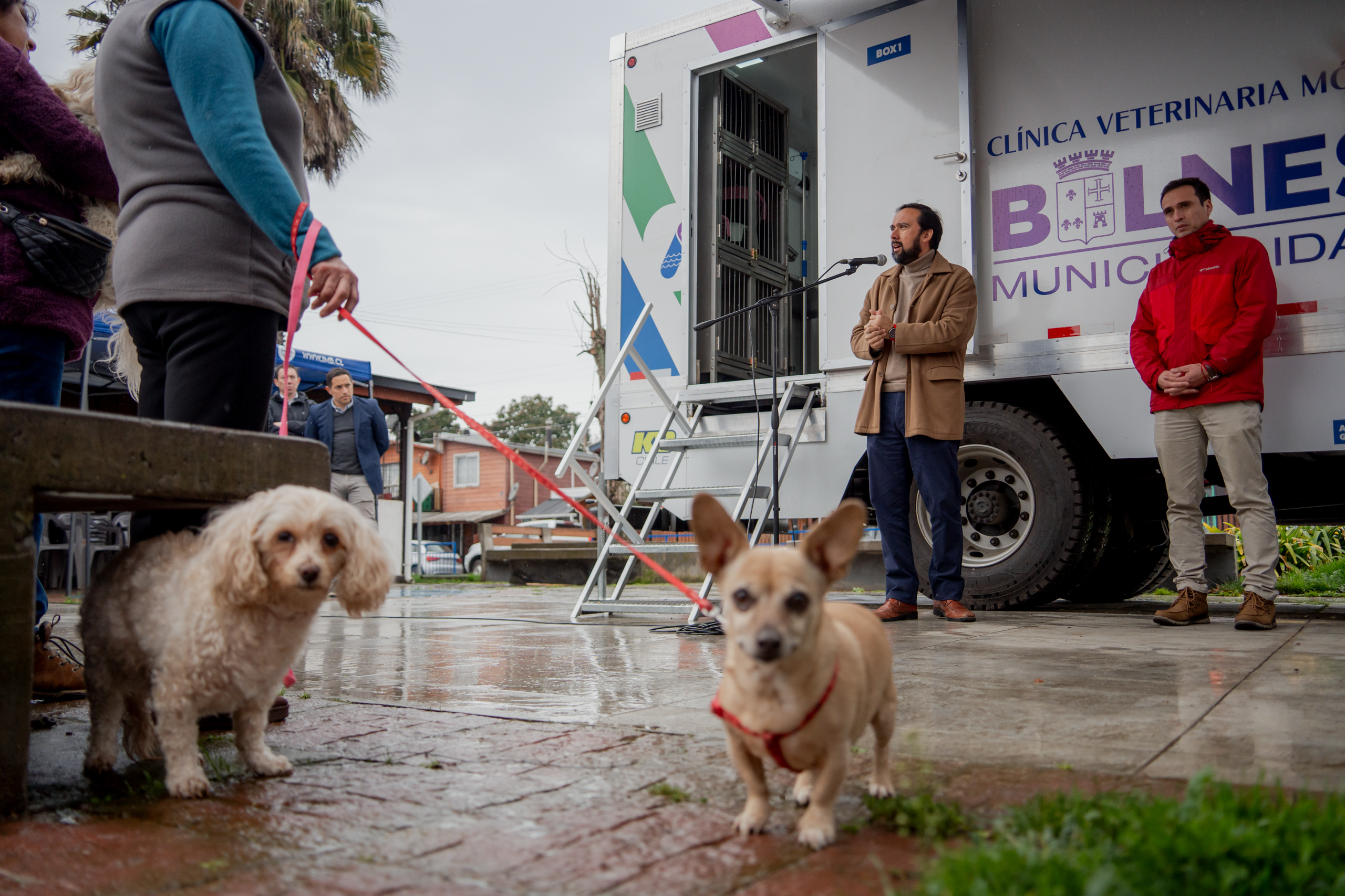 Clínica móvil recorrerá Bulnes con atención gratuita para mascotas