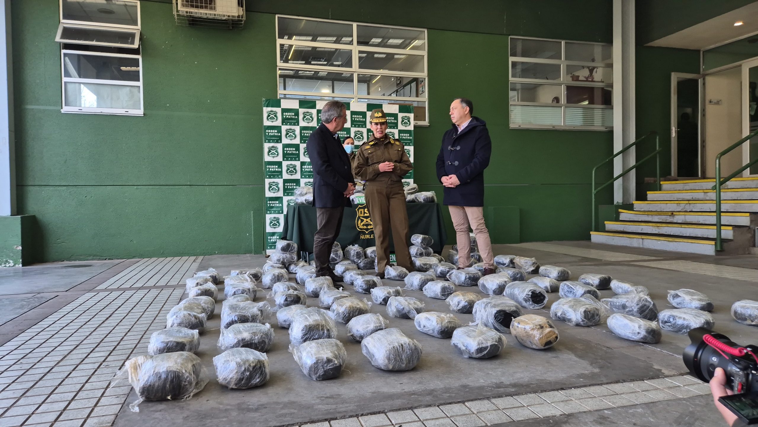 Mil millones en marihuana: así frustraron el ingreso de droga a Ñuble