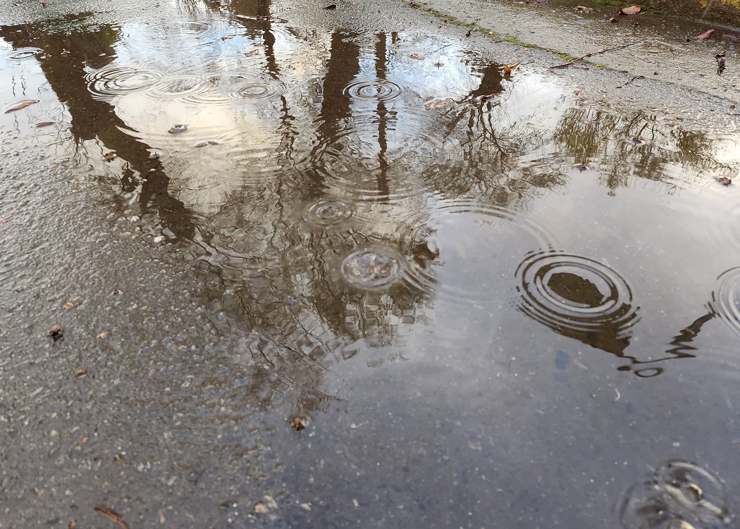 Alerta en Ñuble: buen frío para frutales, pero falta agua