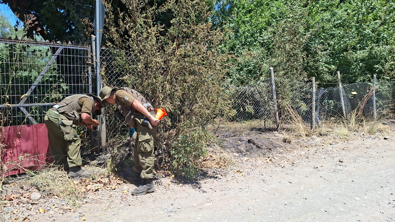 Sospechas crecen tras incendios simultáneos en ruta Quillón–Nueva Aldea