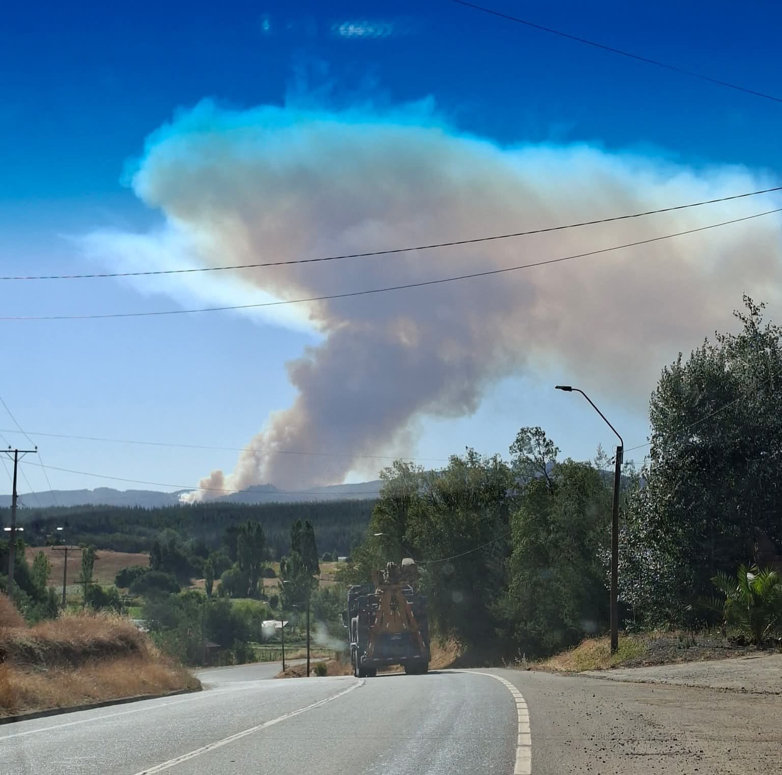 Declaran Alerta Roja en Ránquil por incendio forestal que amenaza viviendas en el sector Perales