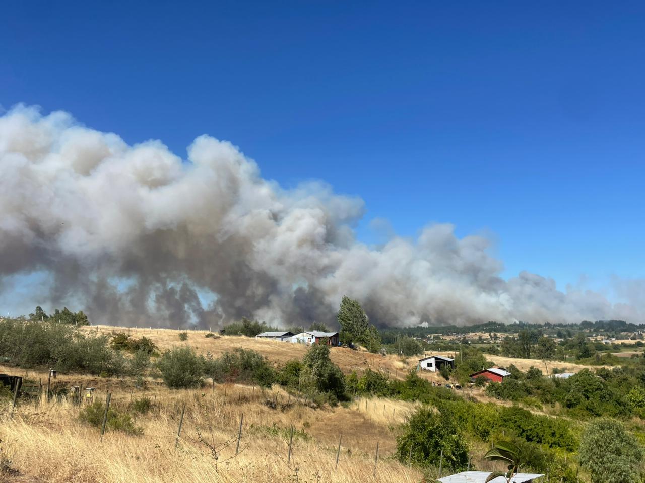 Revelan qué provocó el incendio que arrasó Quillón y mató a un vecino en Bulnes