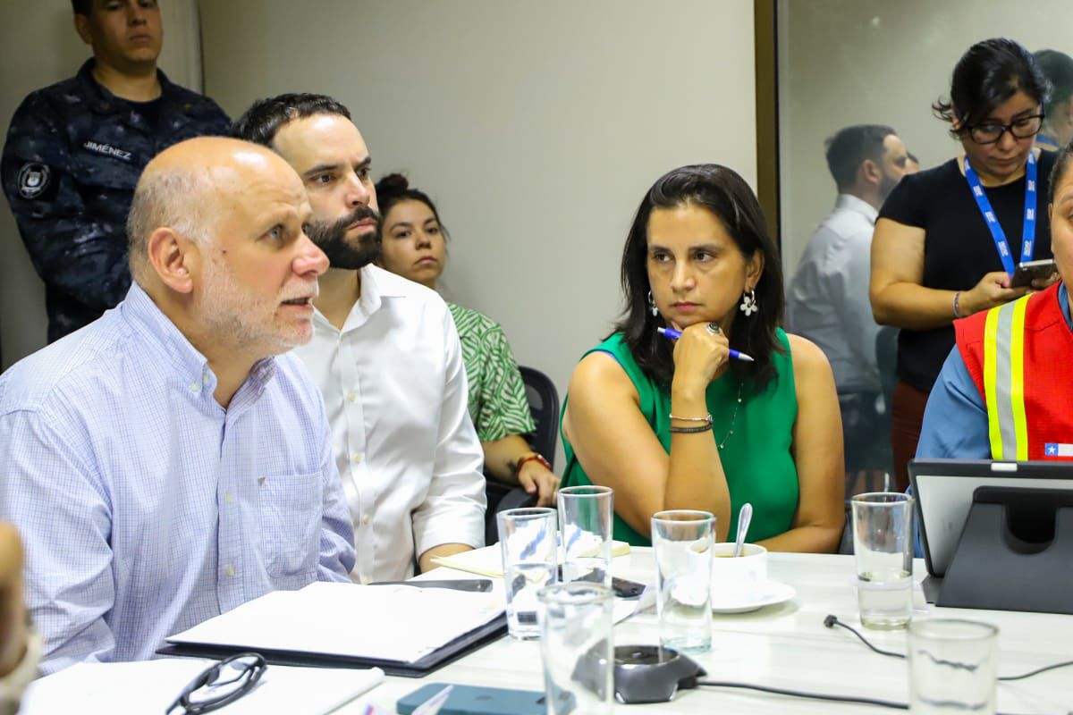Ministra de Agricultura asume como enlace del Gobierno en Ñuble ante incendios forestales