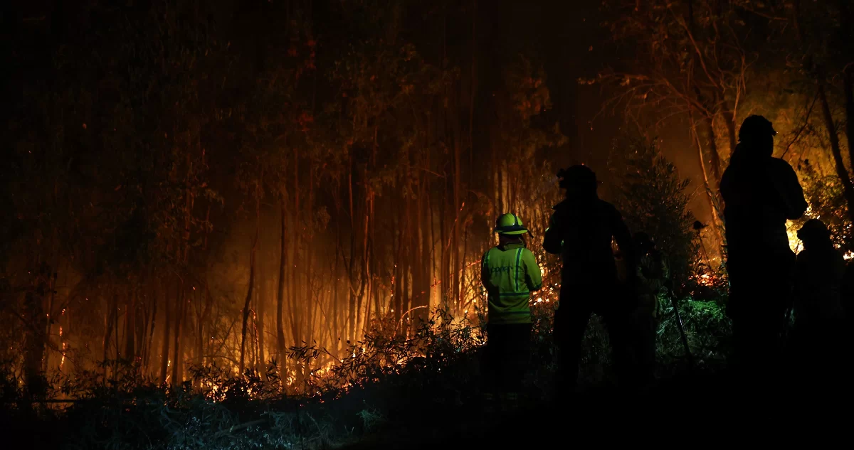 Siete incendios en un día elevan la alerta en Ñuble