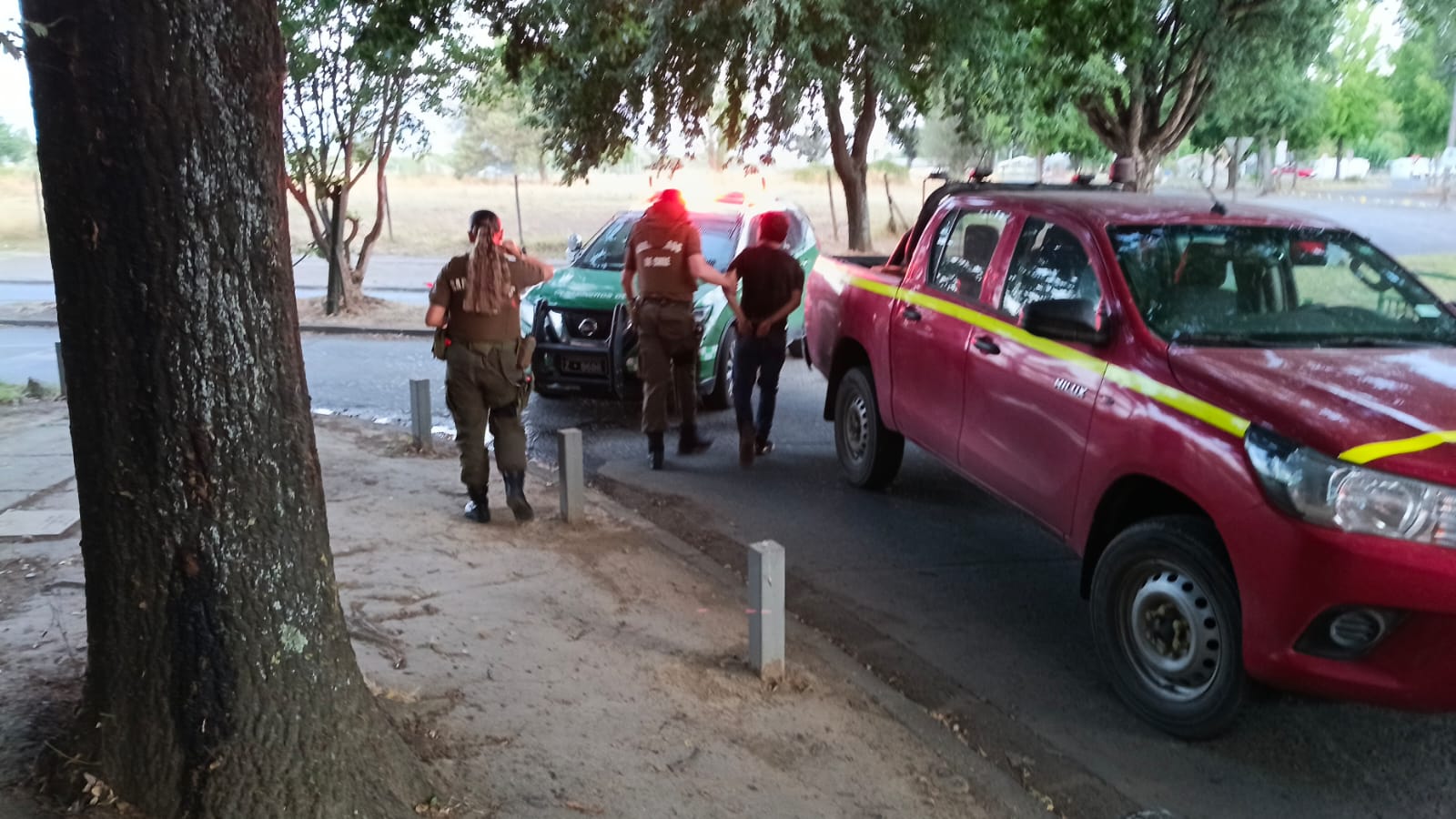 Vecinos sorprenden a ladrón de autos y frustran robo en supermercado de Chillán