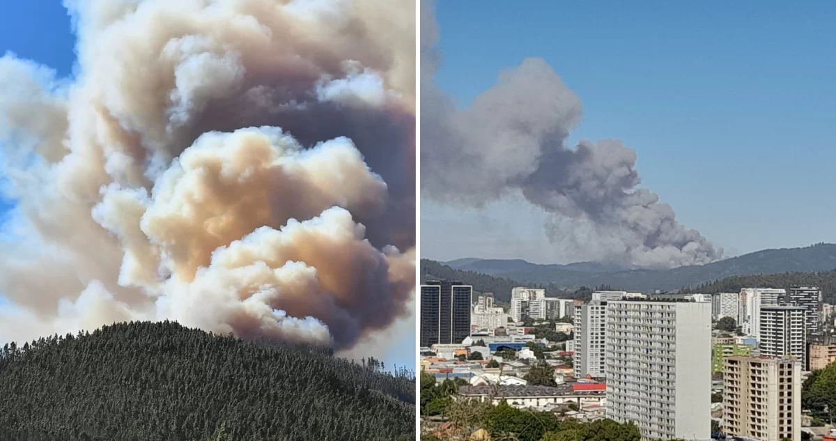 Gobierno cifra en 19 los fallecidos y en más de 1.500 los damnificados por incendios en Biobío y Ñuble