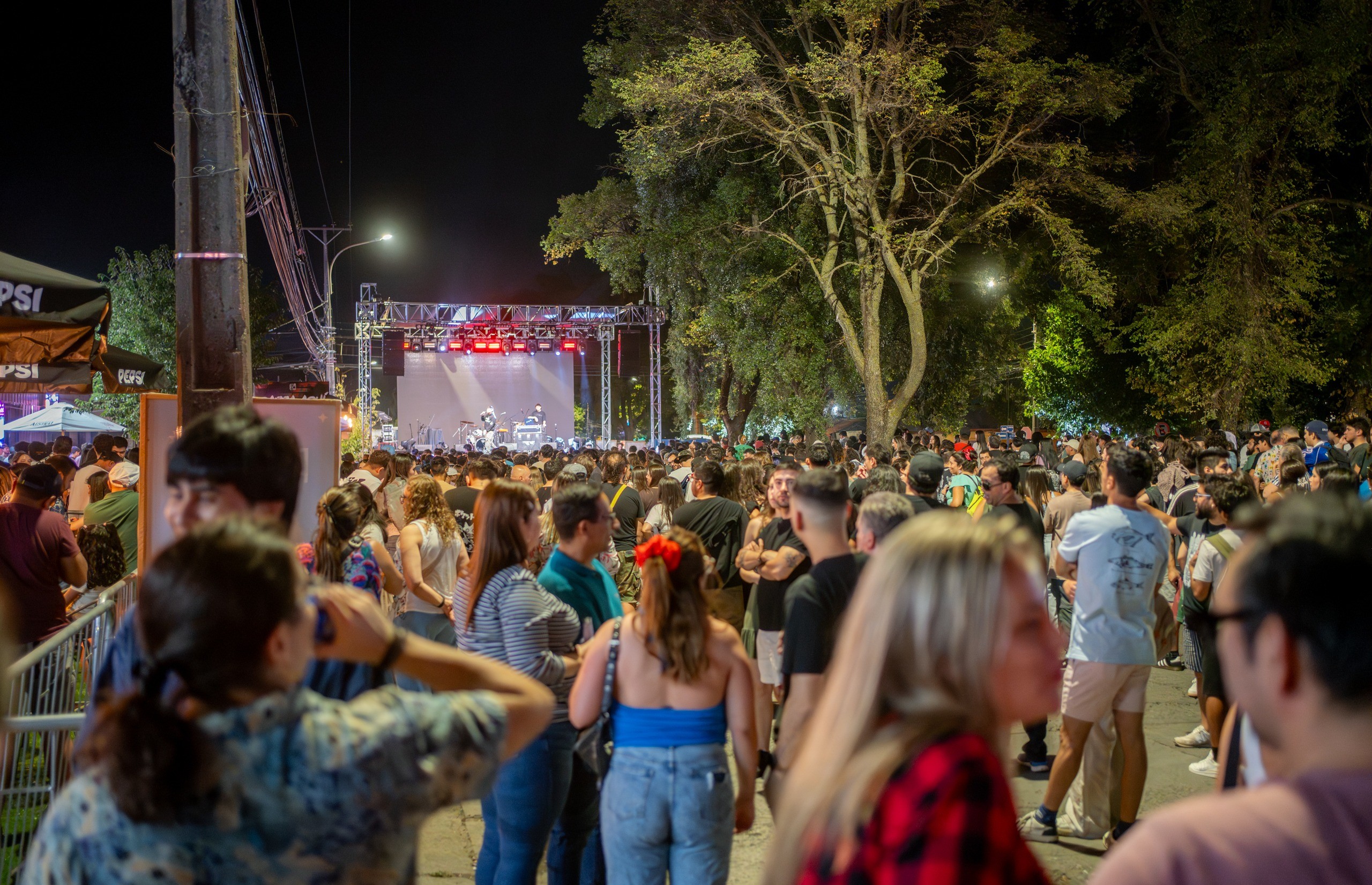 Éxito total: En su primera versión Avenida Viva congrega a más de 10 mil personas en una gran jornada de comercio y cultura local