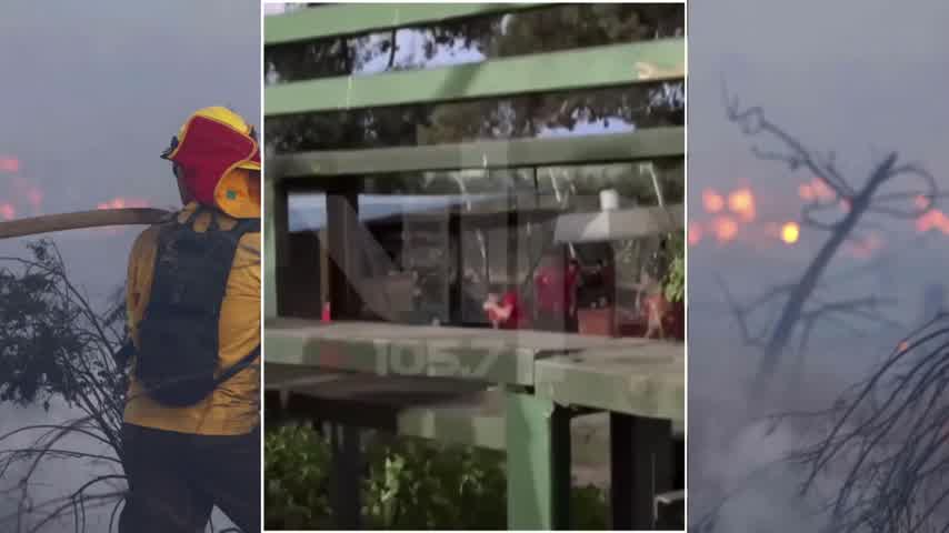 Conaf despide a brigadistas tras ser grabados jugando con brasas en base forestal