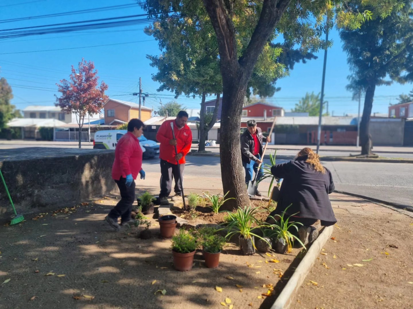 De microbasurales a áreas verdes: recuperan espacios familiares en Chillán
