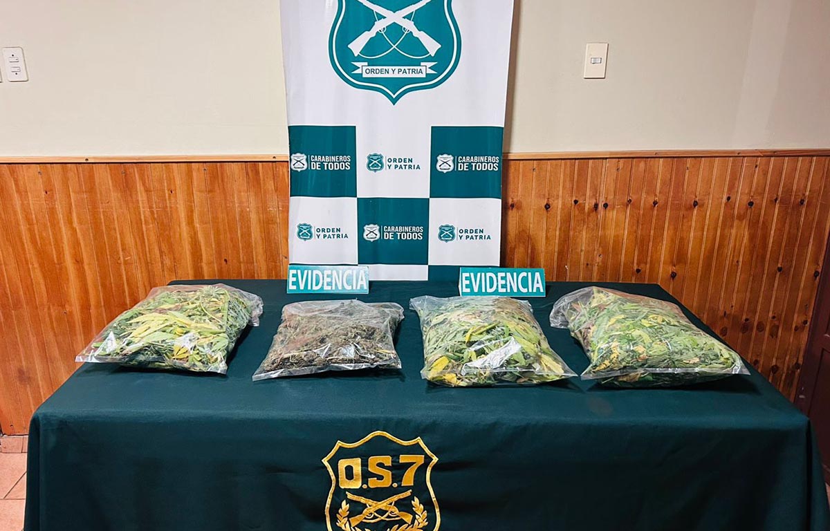 Prisión preventiva para madre e hijo tras incautación de más de 5 kilos de droga en Pemuco