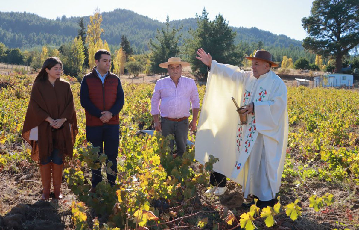 Fiesta de la Vendimia en Portezuelo invita a Ñuble y genera impulso turístico en el Valle del Itata