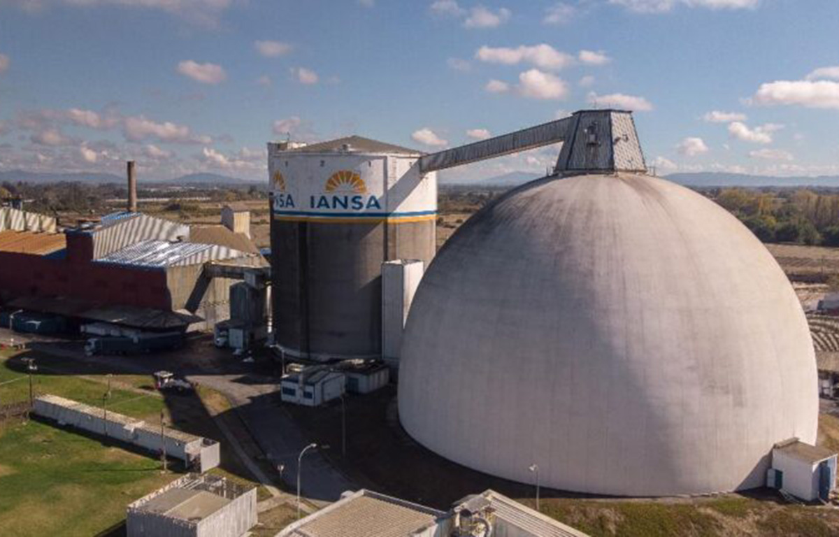 Agricultores de Ñuble buscan alternativas urgentes tras crisis remolachera