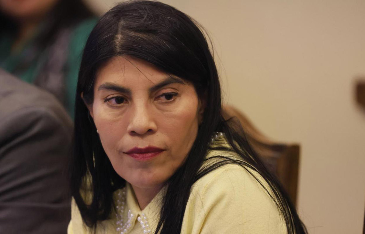Detienen a estudiantes por violento ataque a ministra en Valdivia