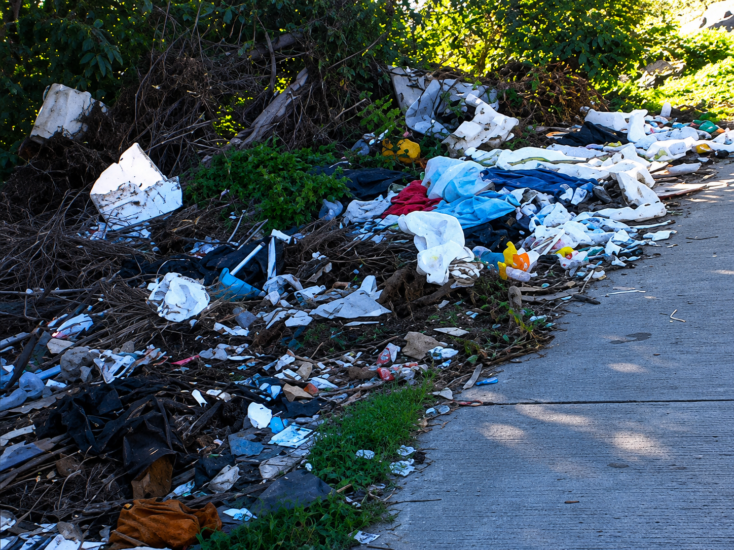 Vecinos explotan por microbasural en Chillán: “Esto es una inmundicia”