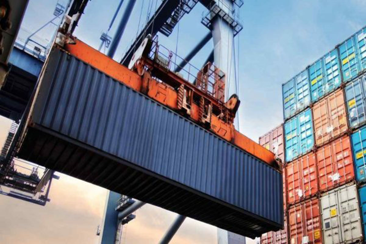 Ñuble pierde millones en exportaciones y China reduce compras