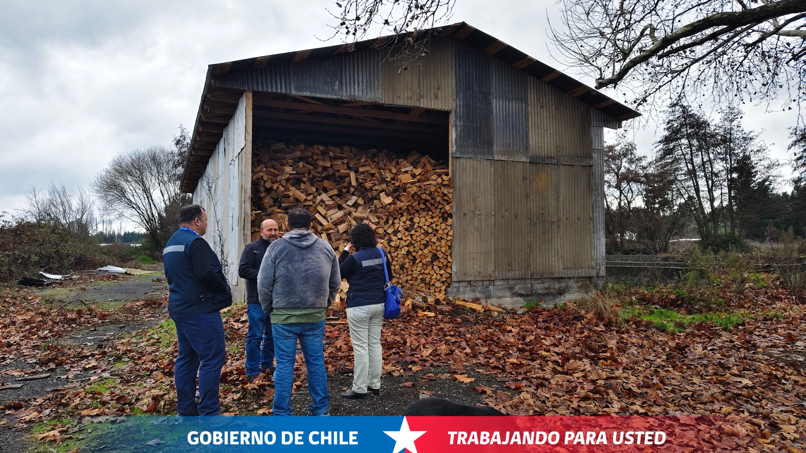Seremi de Energía Ñuble destaca producción local de leña seca y llama a comprar solo en puntos certificados