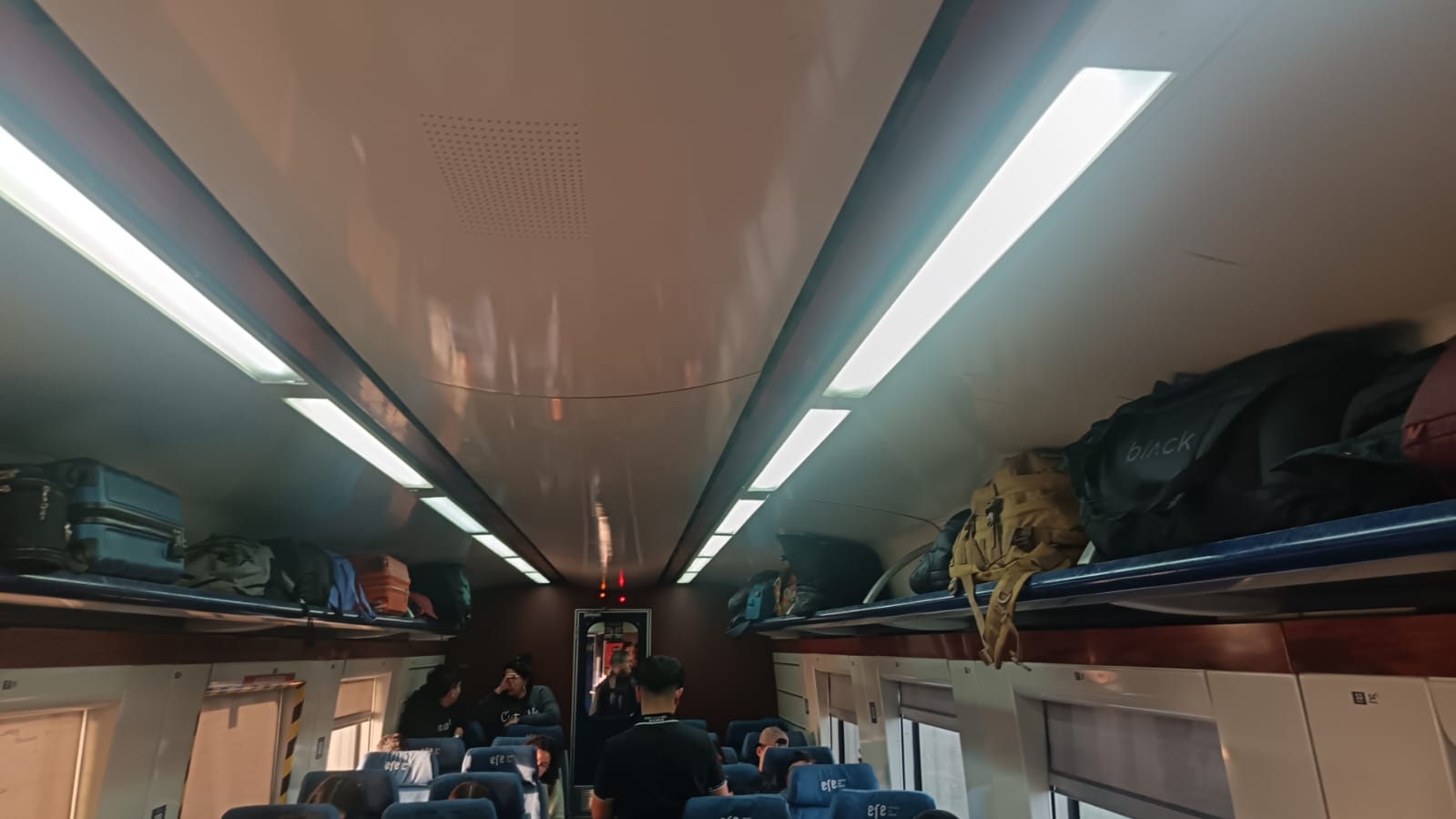 Tren procedente de Estación Central