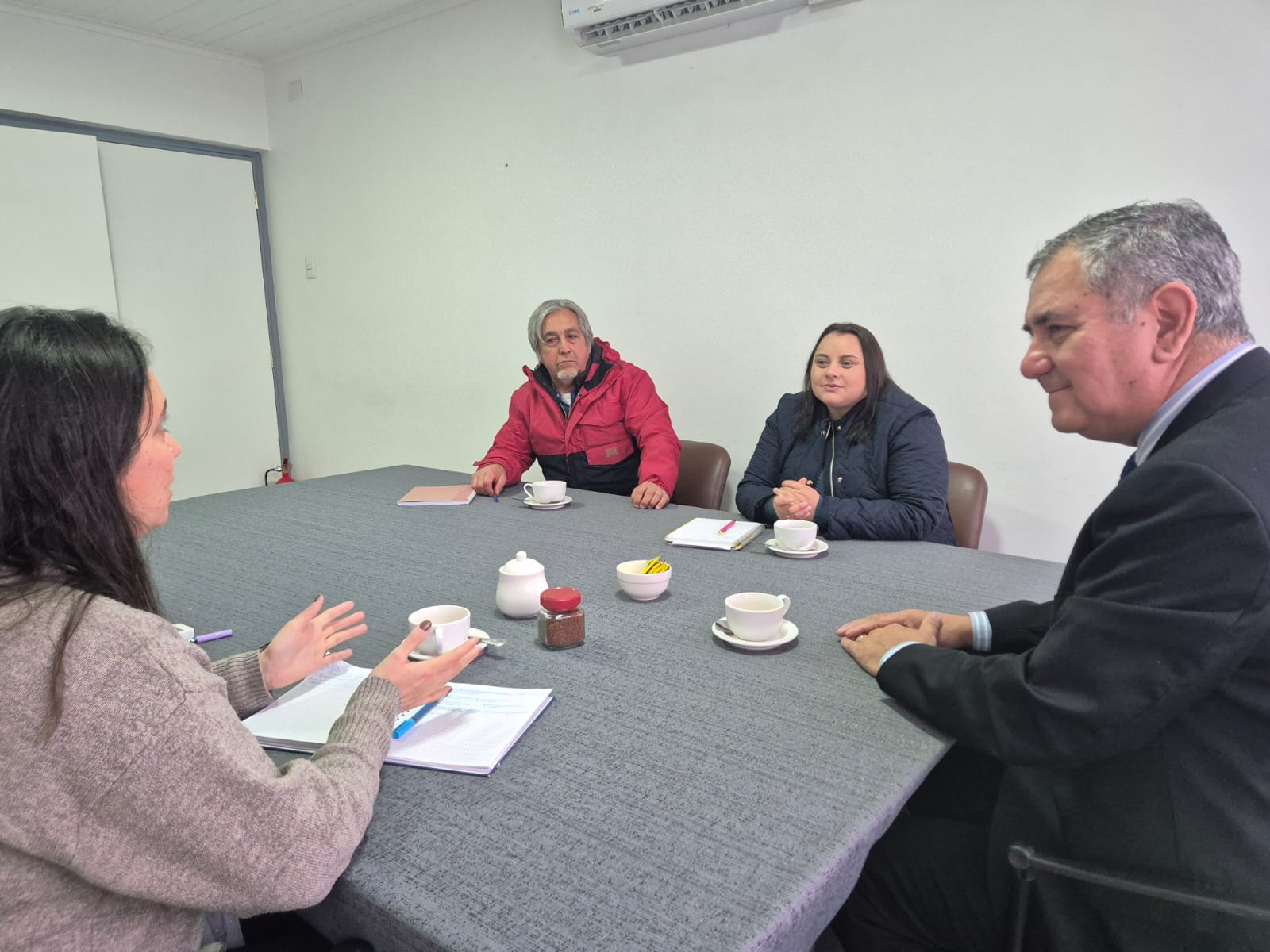 Analizan junto a transportistas de San Carlos alternativas de acceso a Chillán.