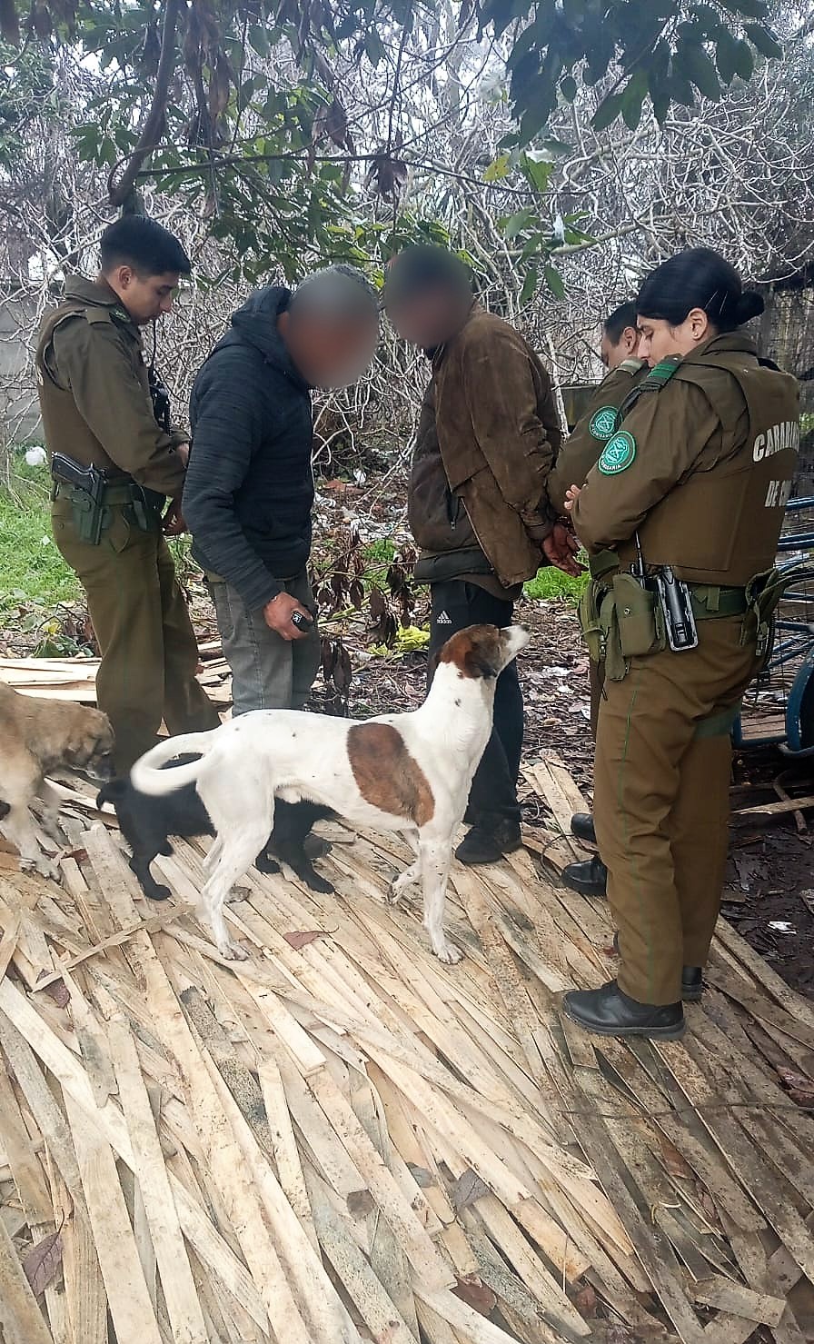 Seguridad municipal y carabineros detienen a personas que robaban cierres perimetrales.