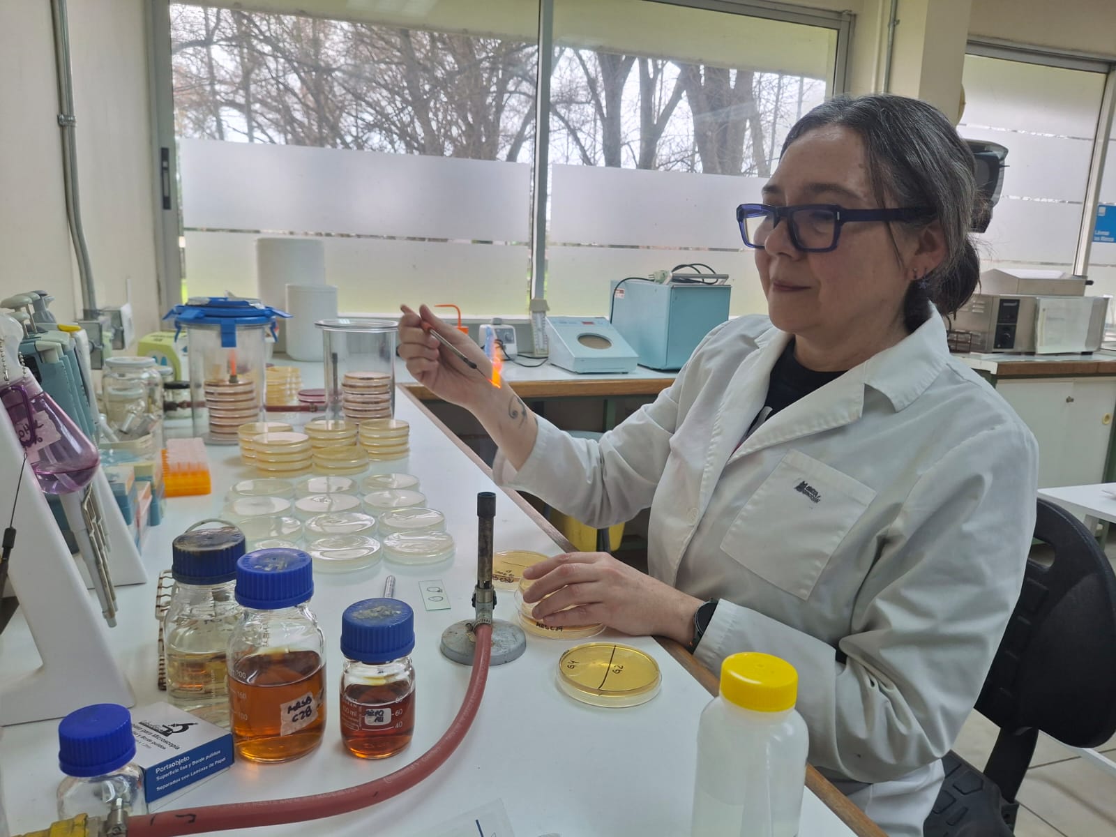 Desde la ciencia buscan aplicar probiótico para curar heridas en mascotas
