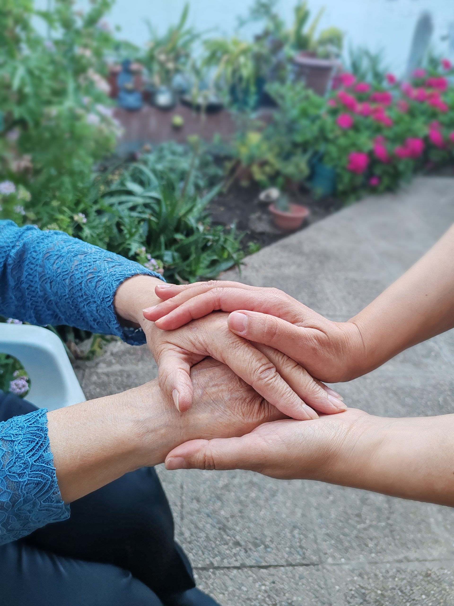 FOSIS y AIEP ofrecen curso gratuito para cinco mil personas cuidadoras.