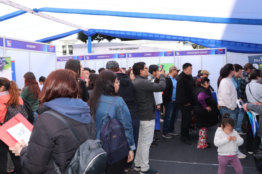 Feria laboral del Sence Ñuble facilitará el acceso al trabajo en Coihueco