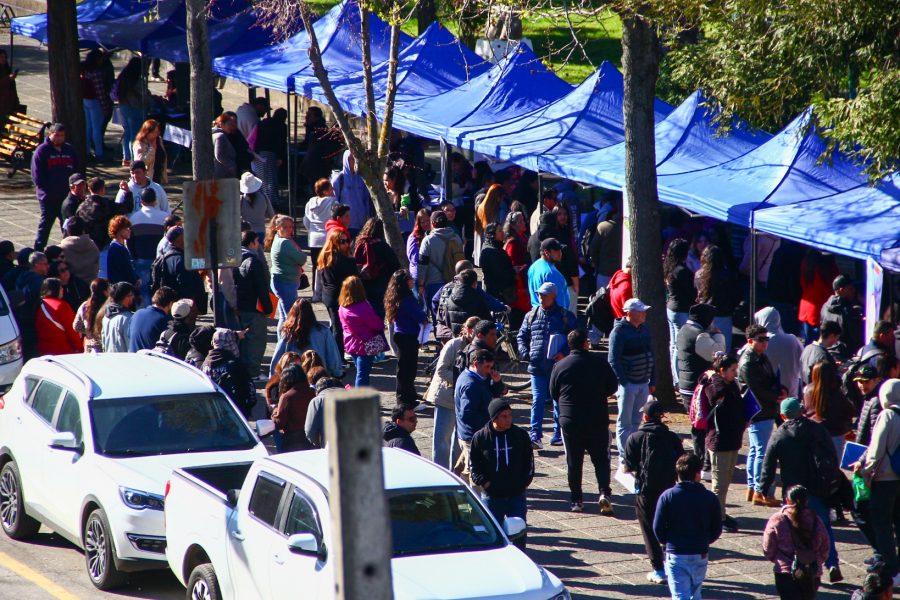 Más de 1.100 oportunidades laborales marcaron el éxito de la Segunda Feria Laboral de San Carlos